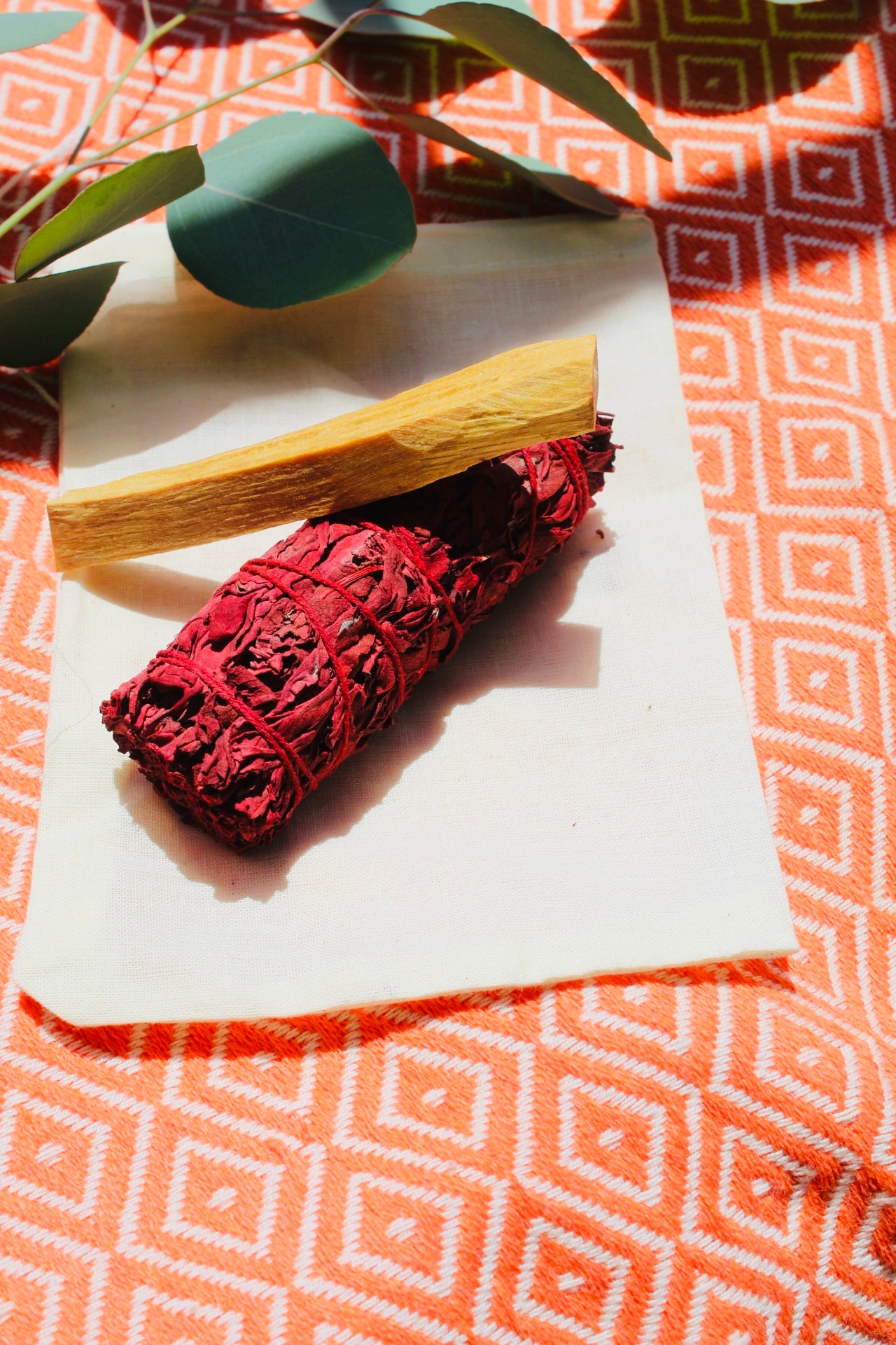 Dragon’s Blood Sage Smudge Kit